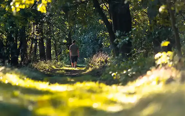 Działki nad morzem - Cichy Brzeg w Nowęcinie koło Łeby