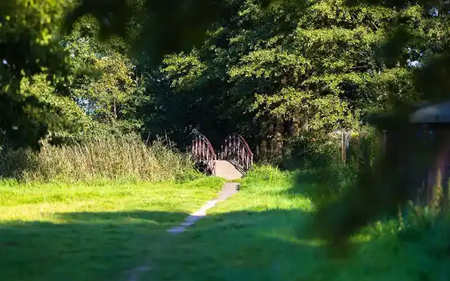 Działki nad morzem - Cichy Brzeg w Nowęcinie koło Łeby