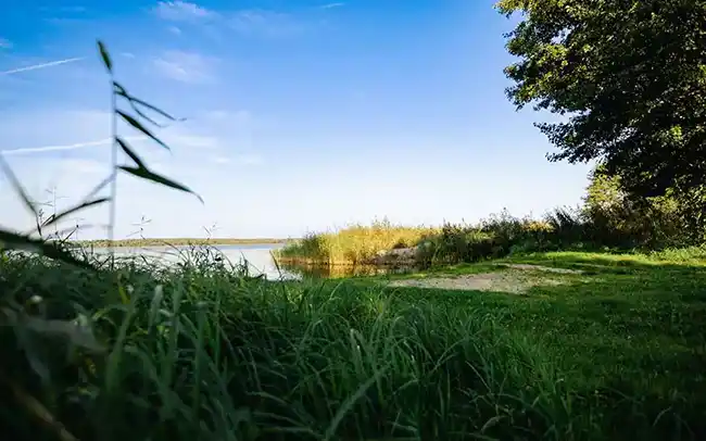 Działki nad morzem - Cichy Brzeg w Nowęcinie koło Łeby