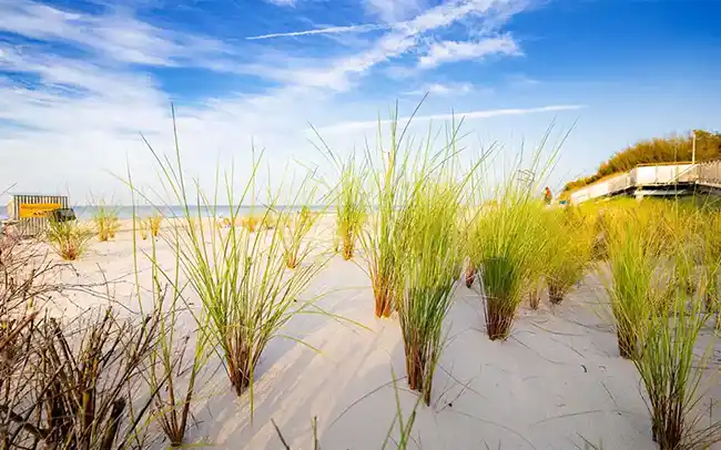 Działki nad morzem - Cichy Brzeg w Nowęcinie koło Łeby