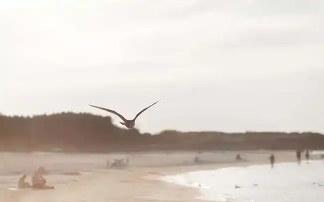 Działki nad morzem - Plaża w Łebie - Cichy Brzeg Nowęcin