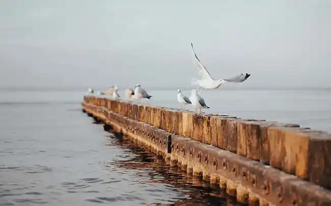 Działki nad morzem - Cichy Brzeg w Nowęcinie koło Łeby