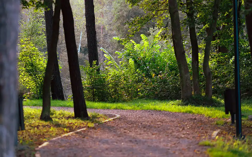 Działki nad morzem - Cichy Brzeg w Nowęcinie koło Łeby