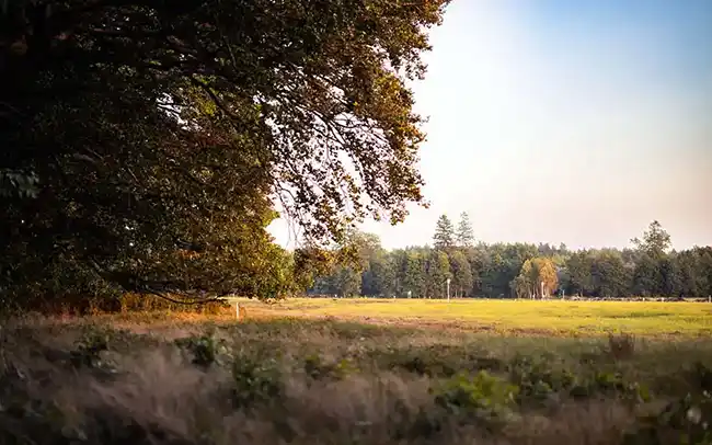 Działki nad morzem - Cichy Brzeg w Nowęcinie koło Łeby