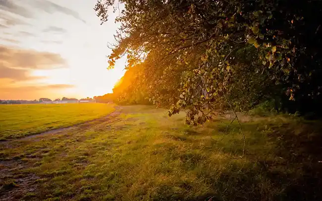 Działki nad morzem - Okolice inwestycji - Cichy Brzeg w Nowęcinie koło Łeby