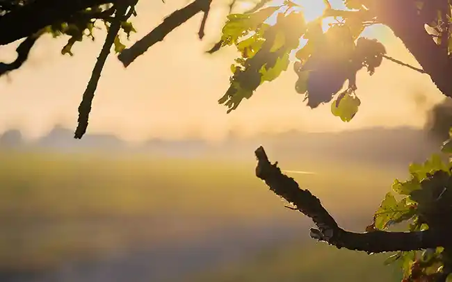 Działki nad morzem - Okolice inwestycji - Cichy Brzeg w Nowęcinie koło Łeby