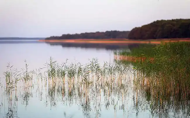 Działki nad morzem - jezioro Sarbsko - Cichy Brzeg Nowęcin
