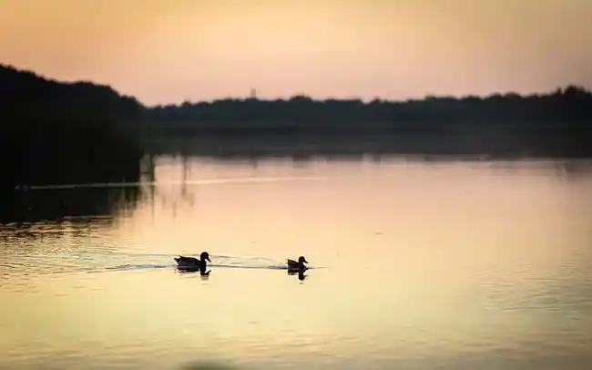 Działki nad morzem - jezioro Sarbsko - Cichy Brzeg Nowęcin