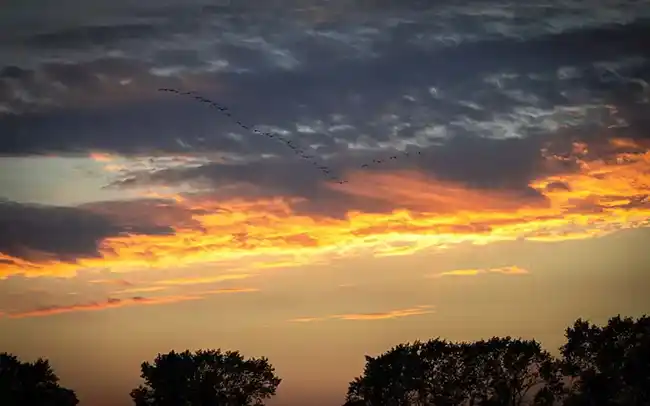 Działki nad morzem - Okolice inwestycji - Cichy Brzeg w Nowęcinie koło Łeby
