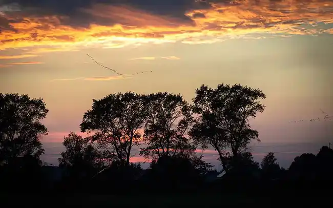 Działki nad morzem - Okolice inwestycji - Cichy Brzeg w Nowęcinie koło Łeby